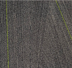 Ковровая плитка Milliken Facet fca 141-79 Anthracite Lime фото 1 | FLOORDEALER